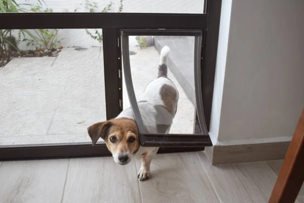 Key Benefits of Choosing Pet Doors and Pet Flaps